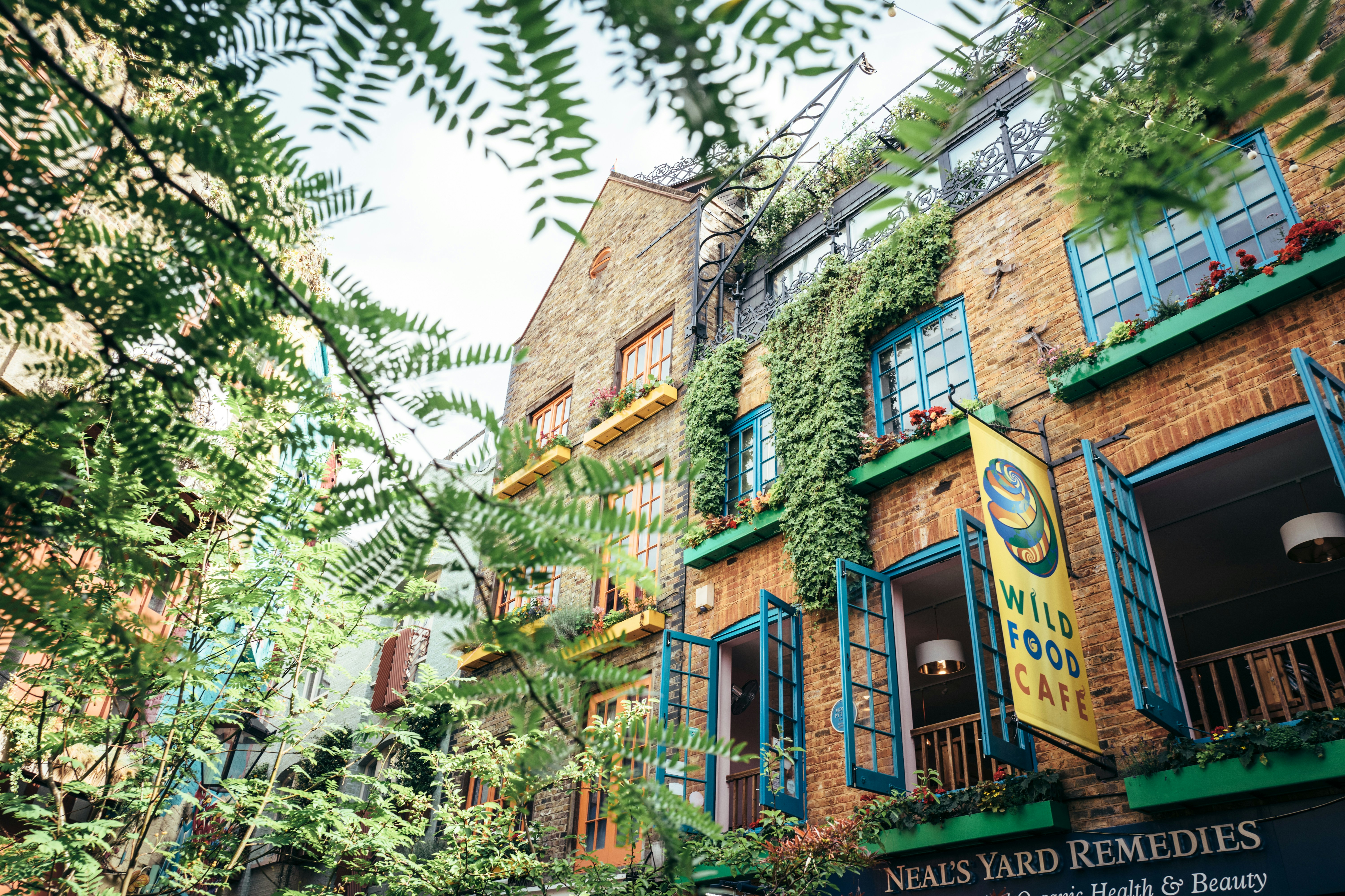 London Backpackers