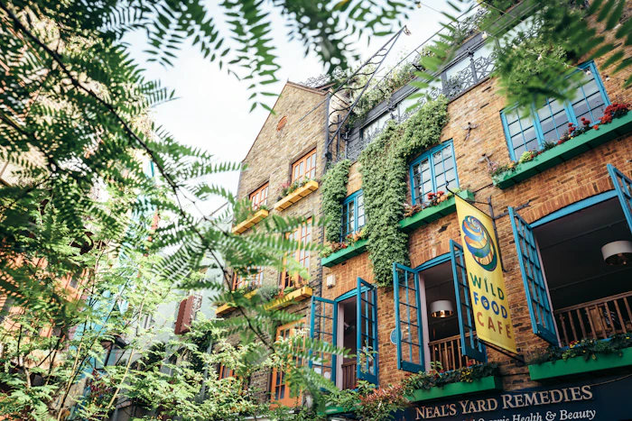 Best Budget Hostels
