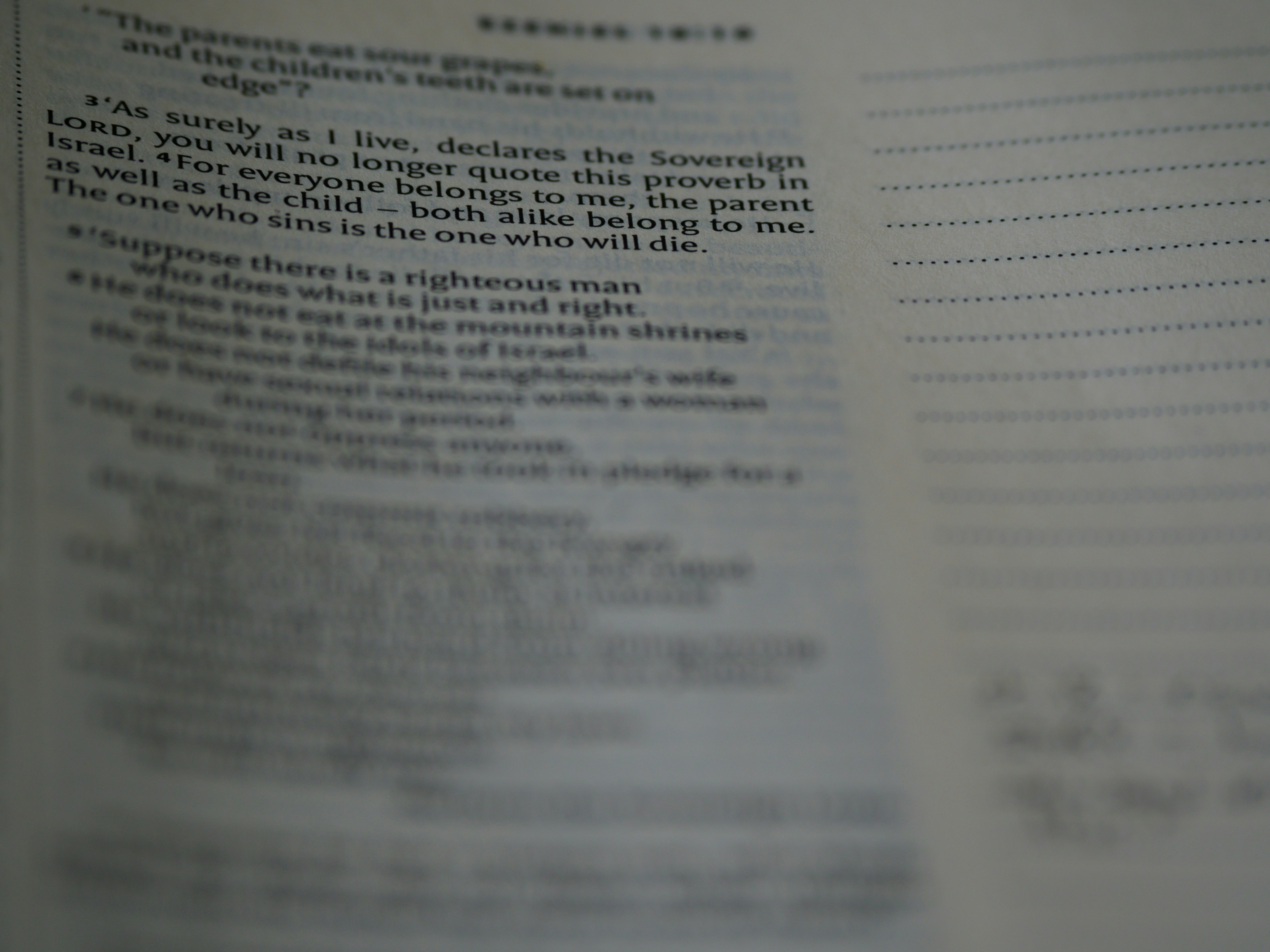 Photo by brett_jordan