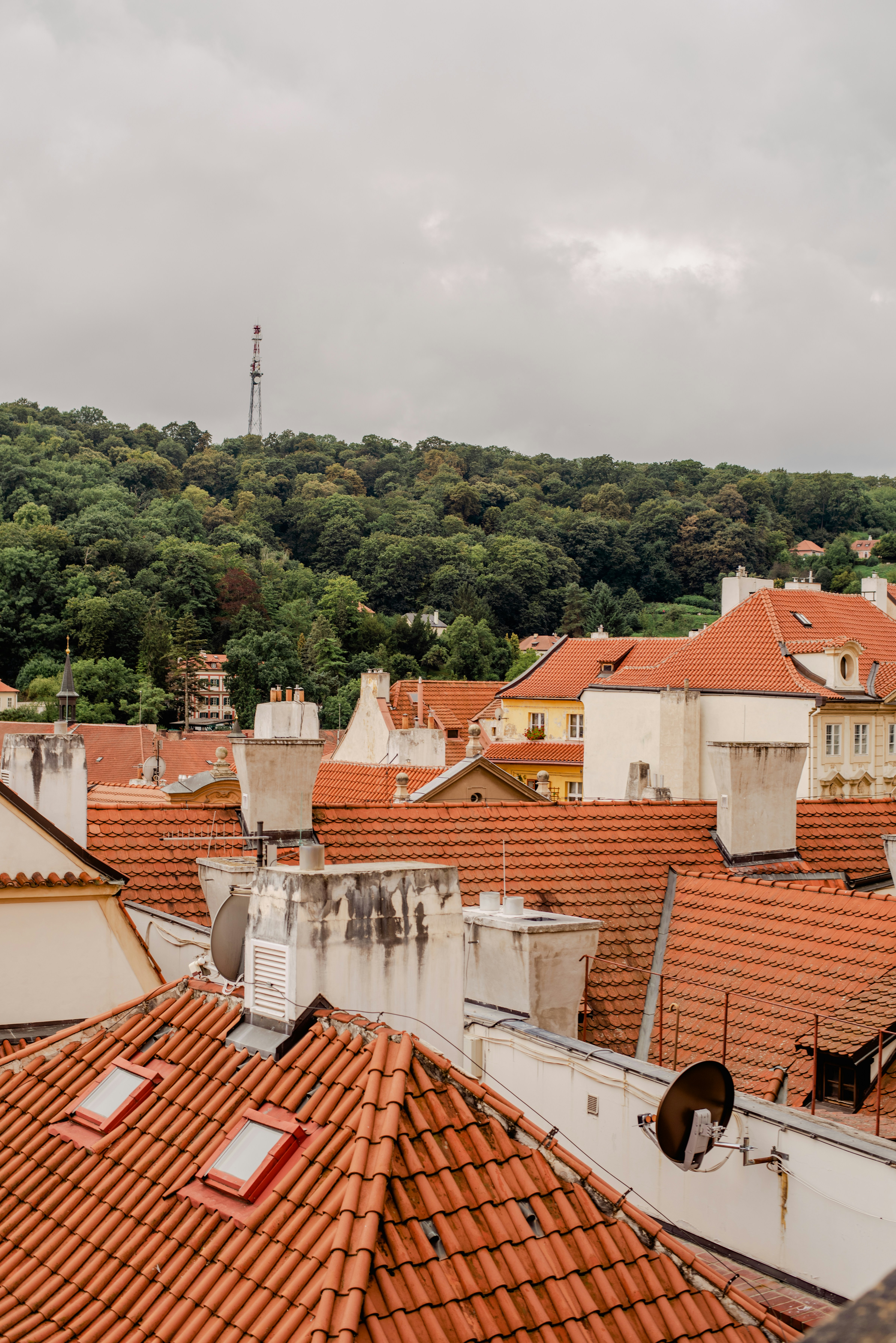 Photo by eugenivy_now