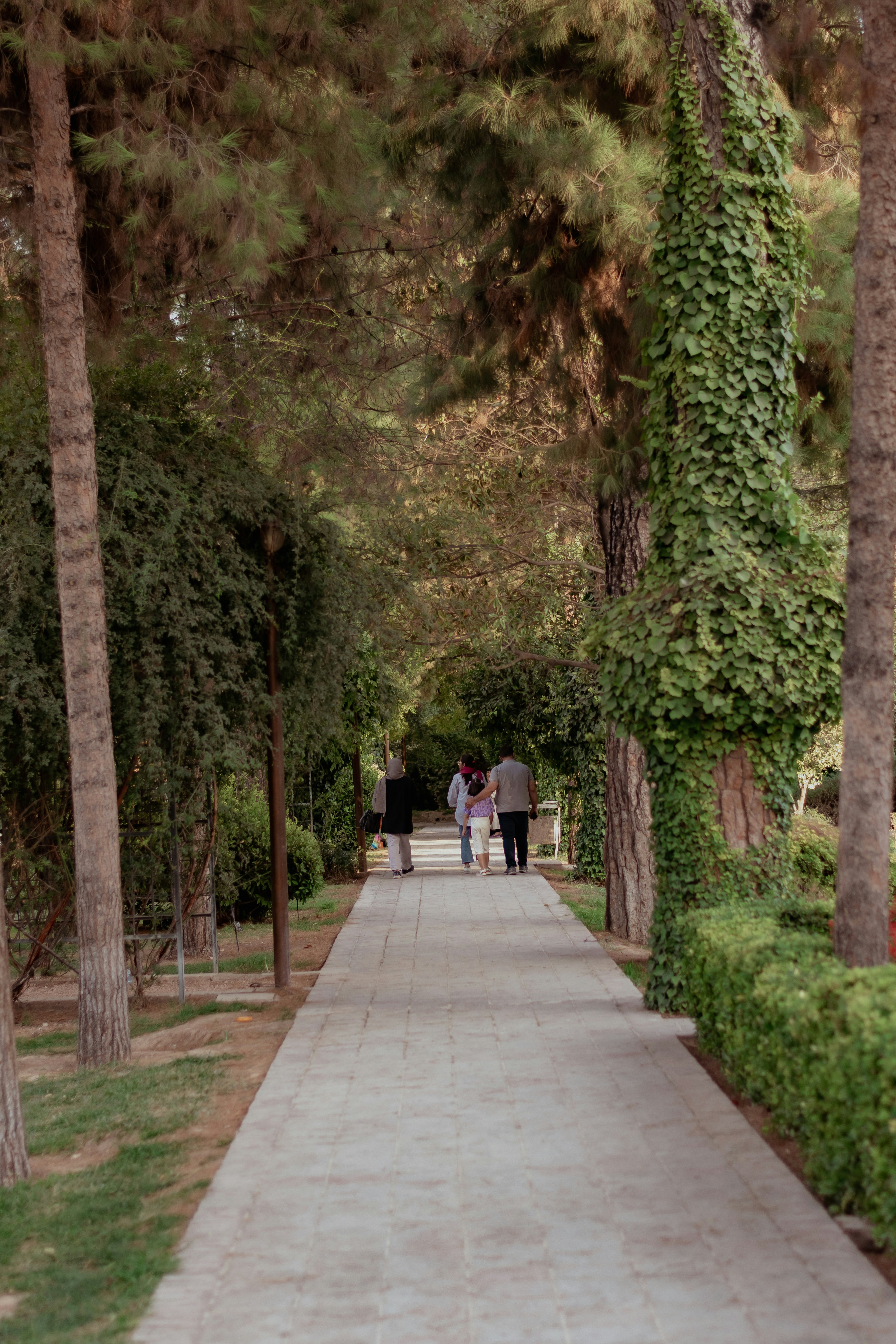 Photo by itsseyed