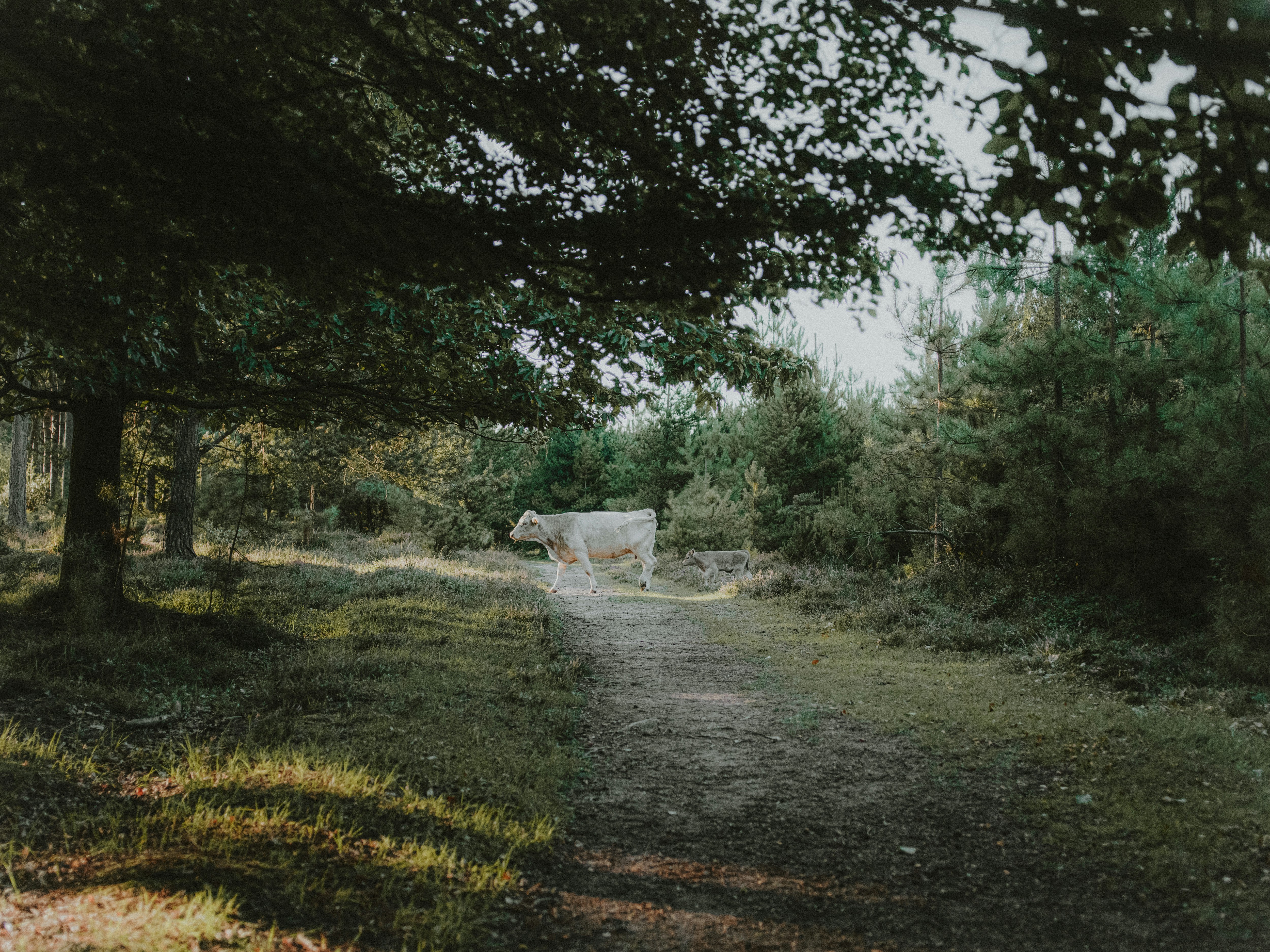 Photo by anniespratt