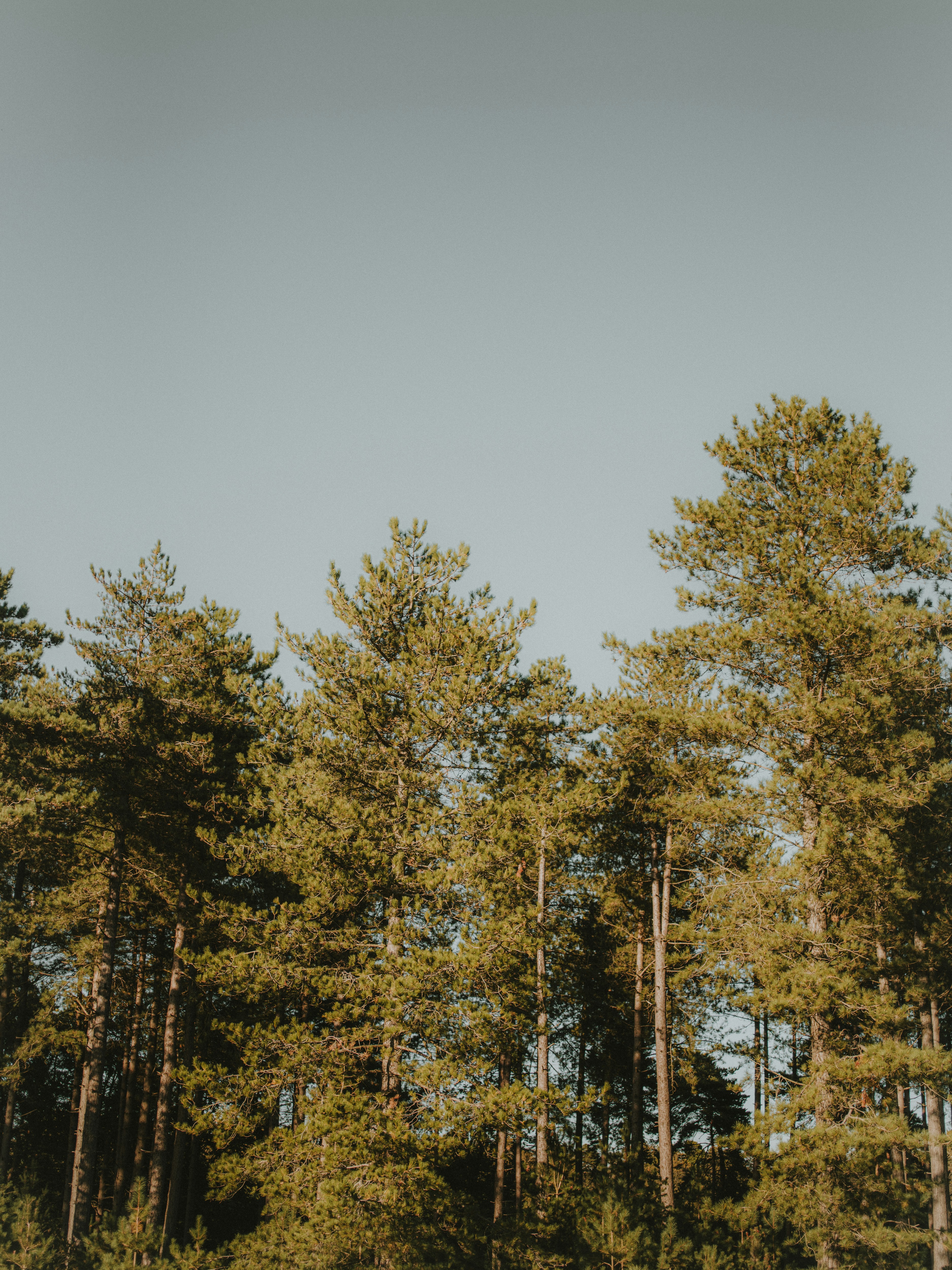 Photo by anniespratt