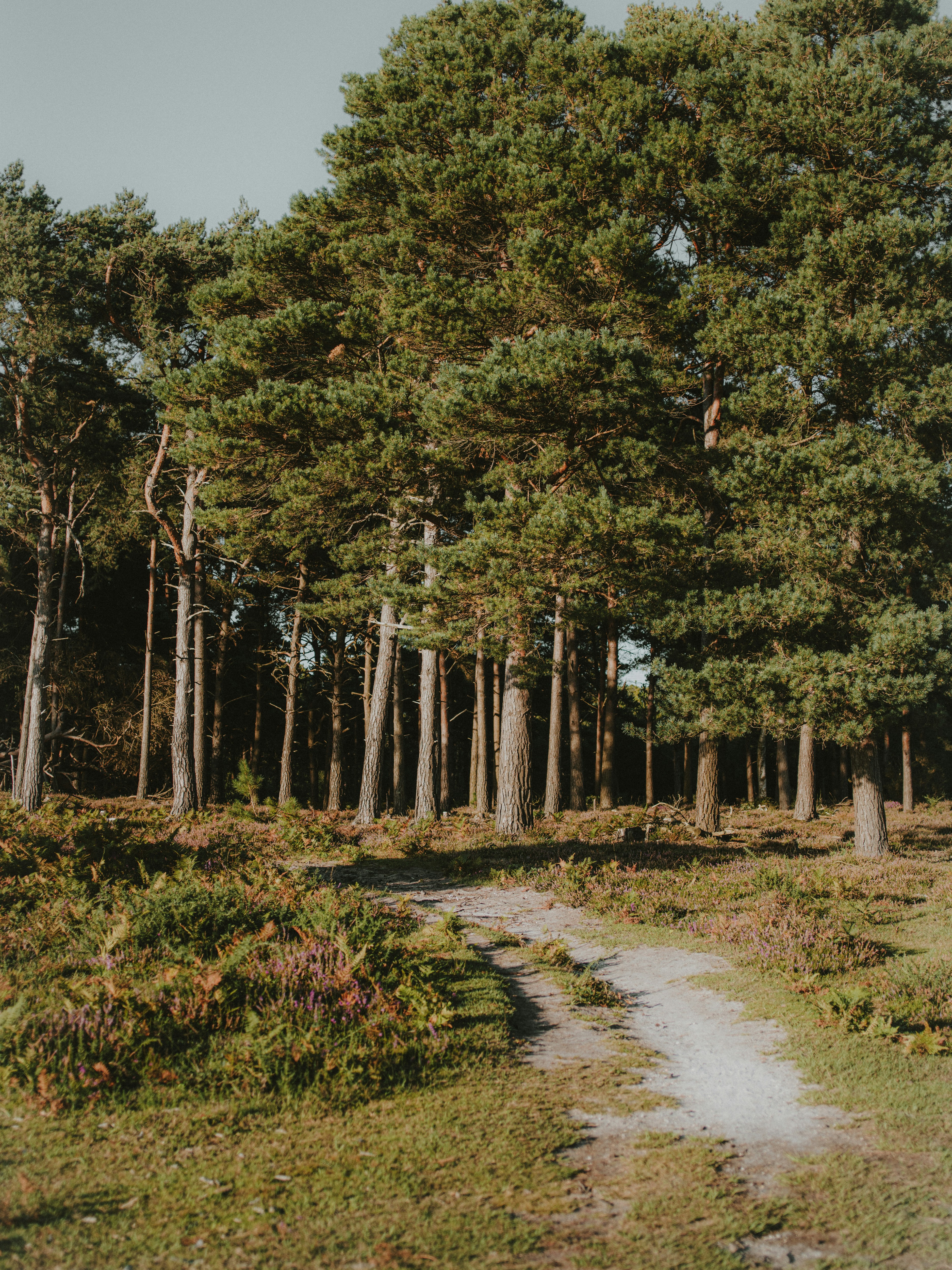 Photo by anniespratt