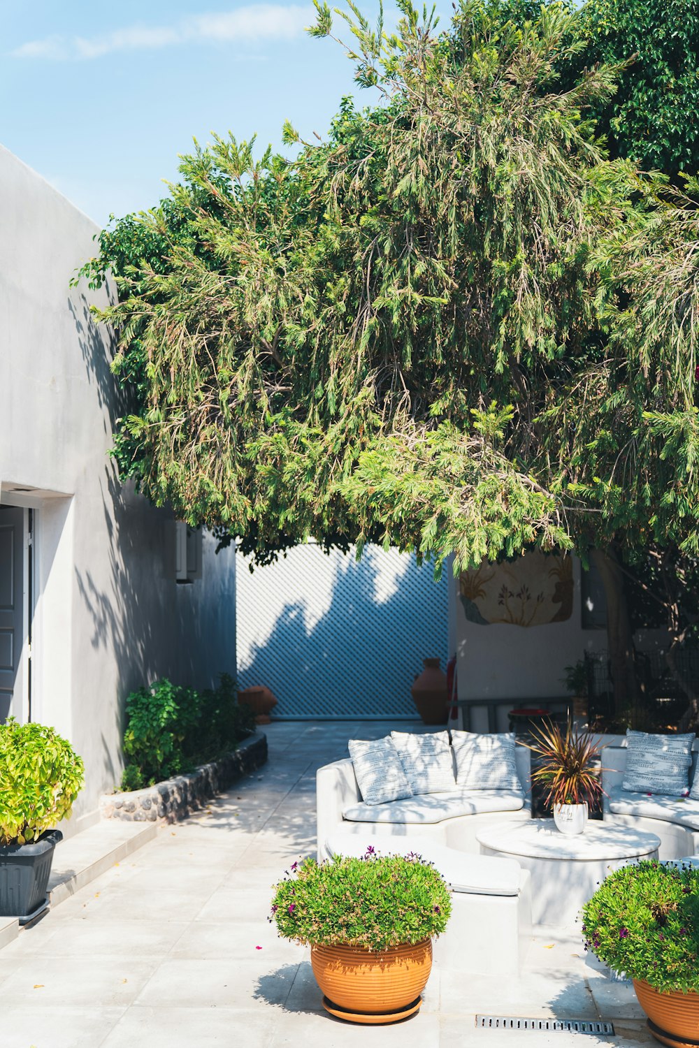 a patio area with potted plants and a tree