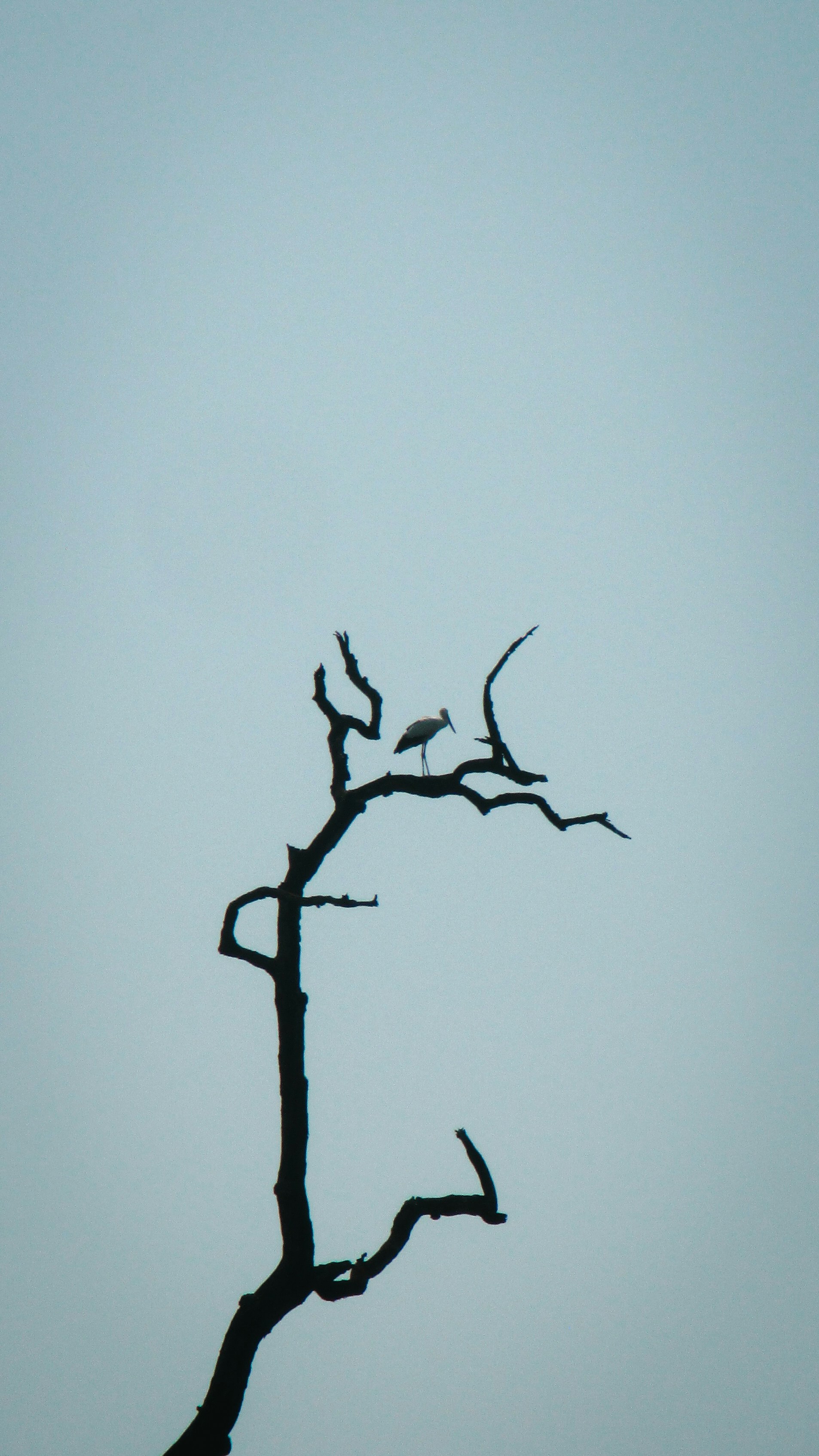 Photo by sabin_khanal