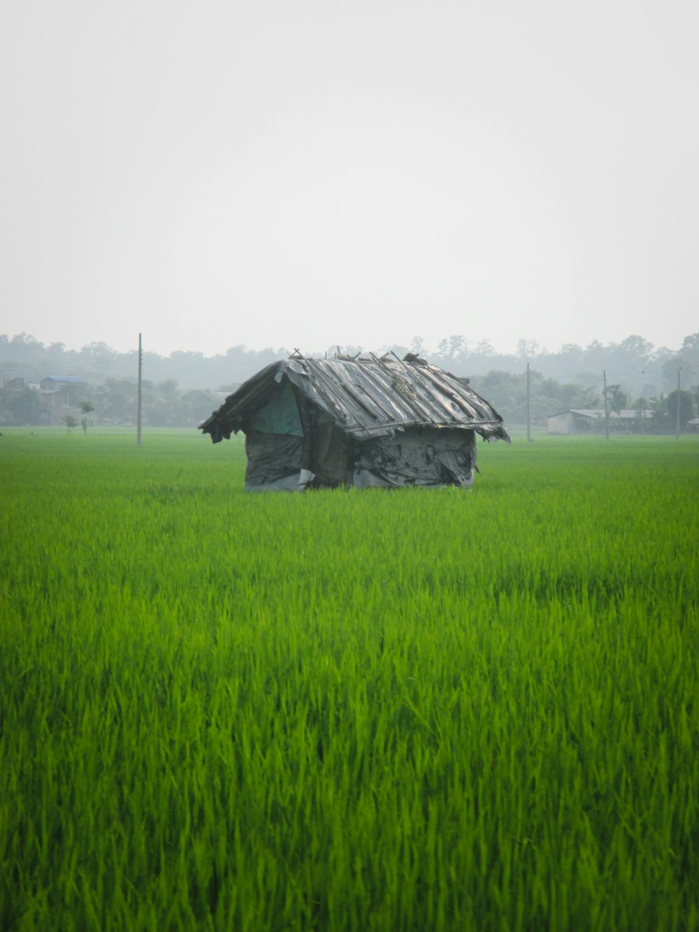 a house in the middle of a green field
