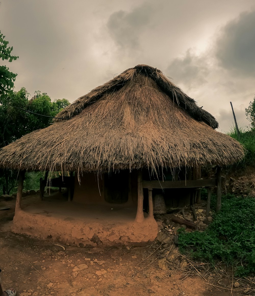 a hut with a thatched roof in a field