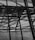 The image features a complex geometric structure composed of crisscrossing metal beams and a perforated metal facade. The design elements create a sense of depth and intricate detail, with light partially filtering through the spaces in between.