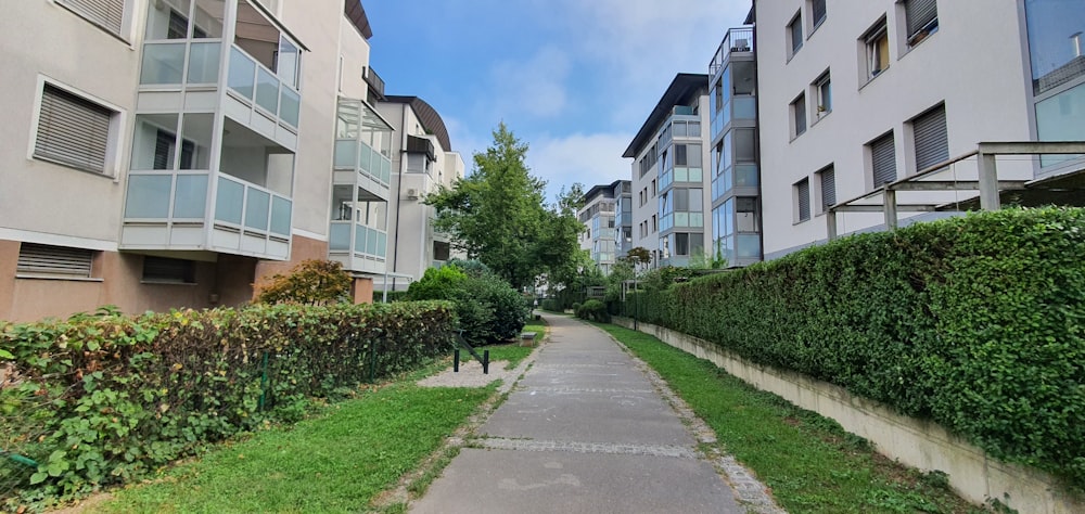 a person walking down a sidewalk between two buildings