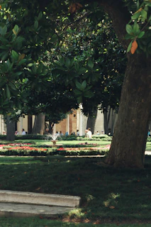 A serene hospital garden where patients and visitors can relax and recharge