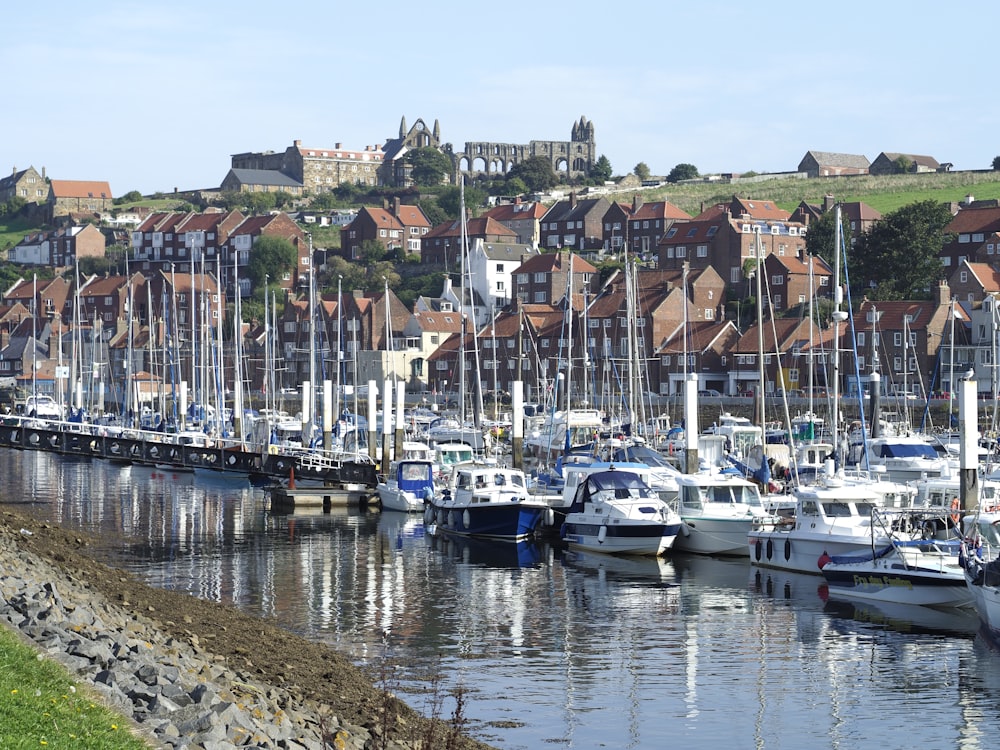 a harbor filled with lots of boats next to a city