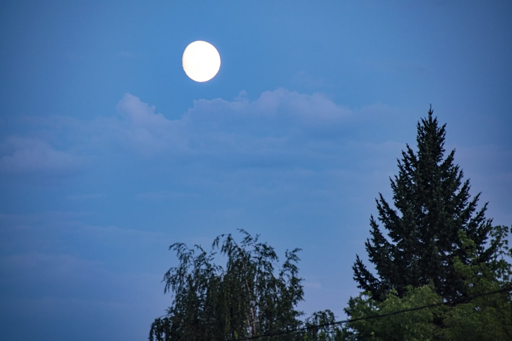 a full moon in the sky above some trees