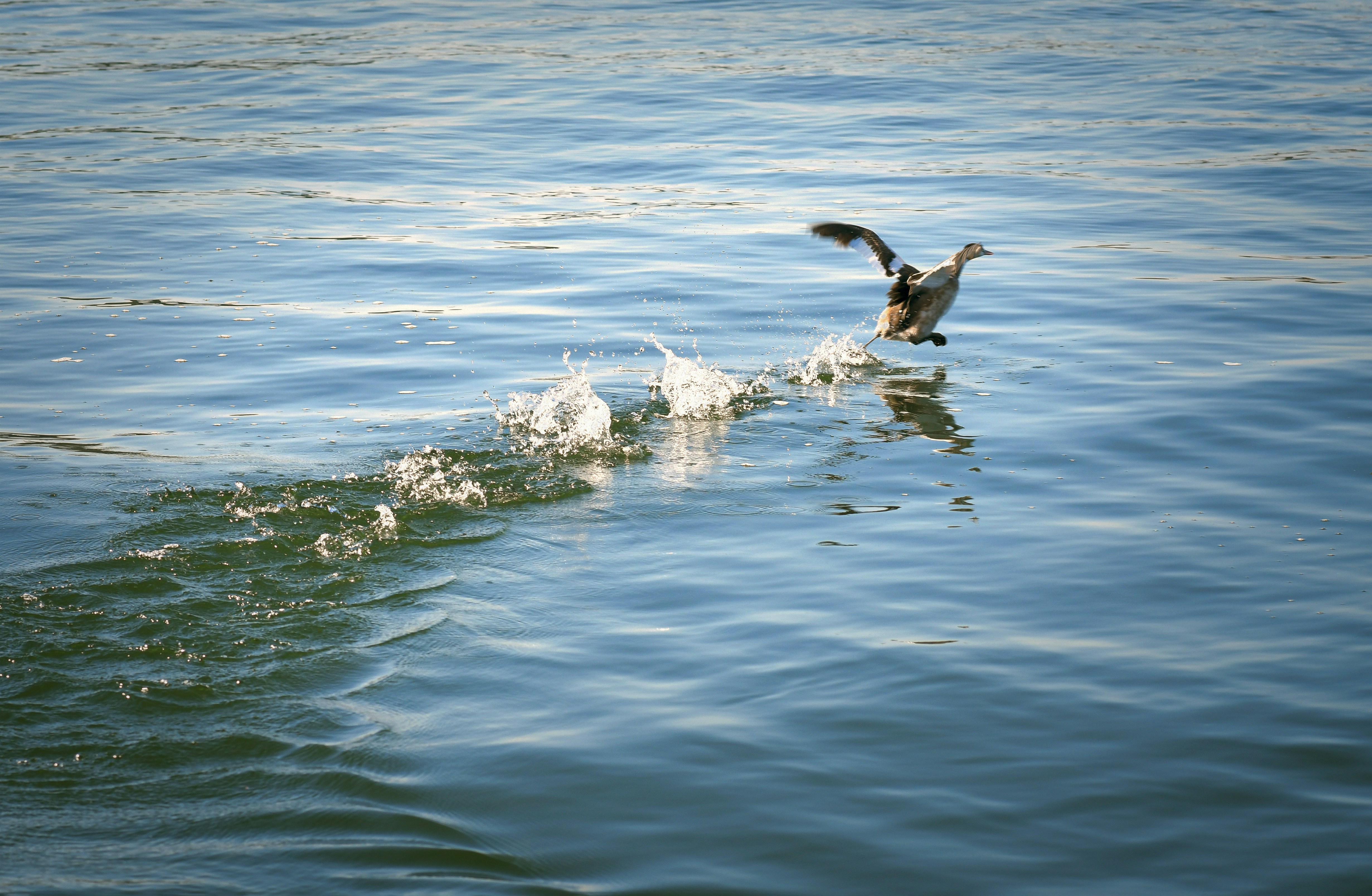 Photo by mhphotography13