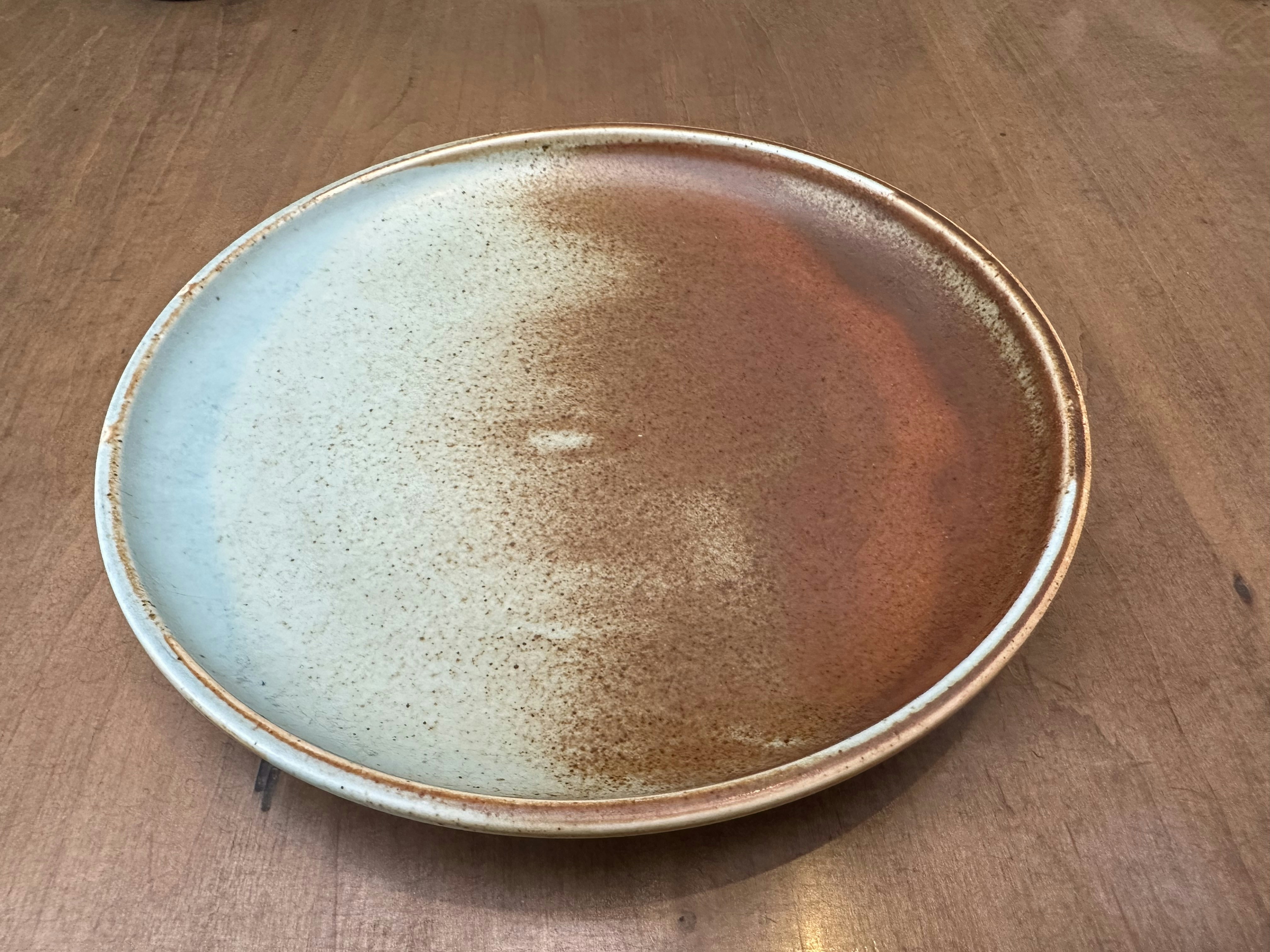 Durable Polycarbonate Plate