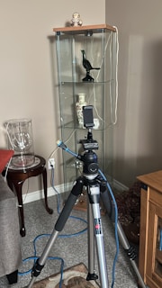 A tripod with a mounted smartphone is positioned in front of a glass display cabinet containing decorative items, including a ceramic owl, a green bird sculpture, and a vase. The area features a side table with a glass vase and a cozy living room setting.