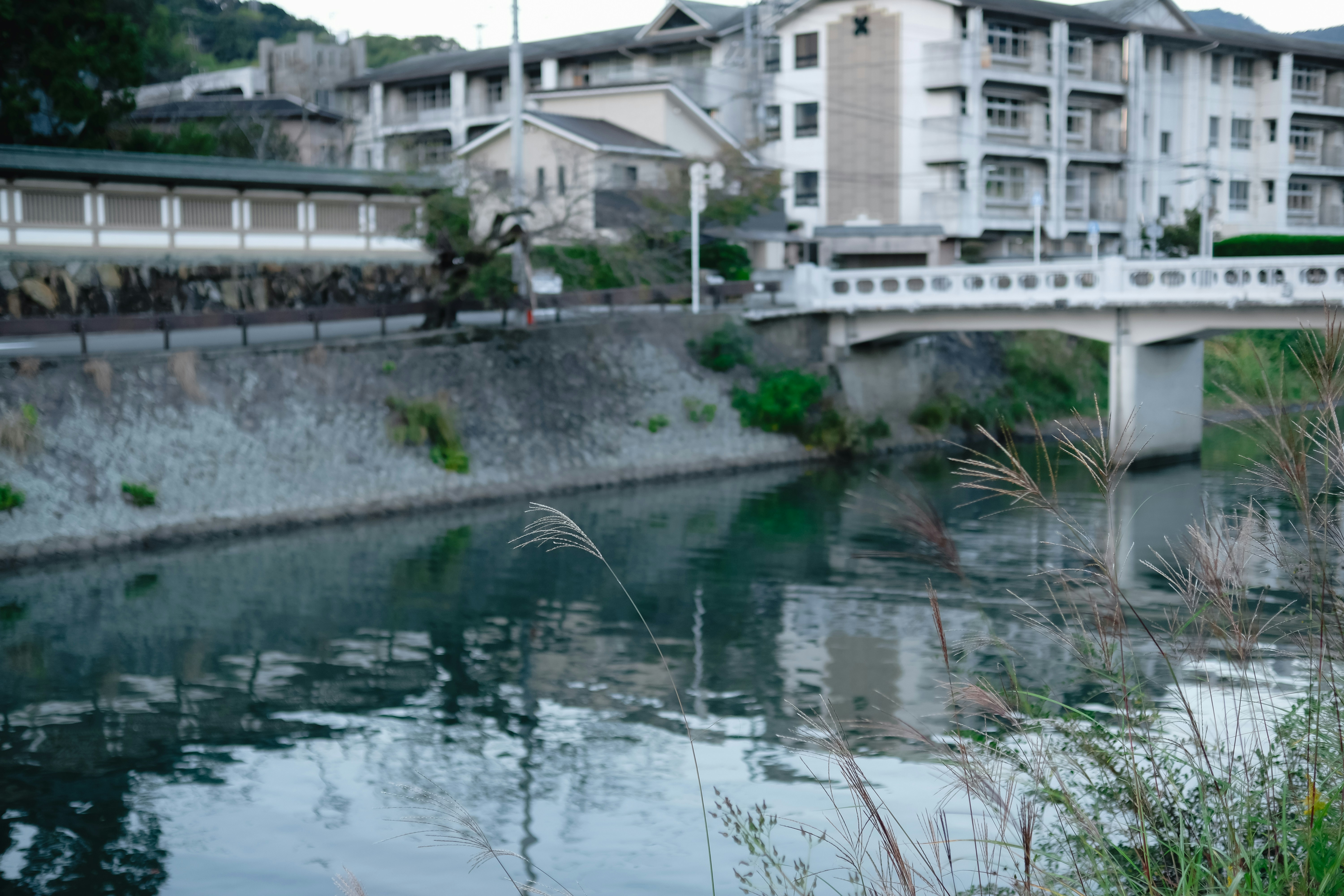 日本、愛媛県宇和島市