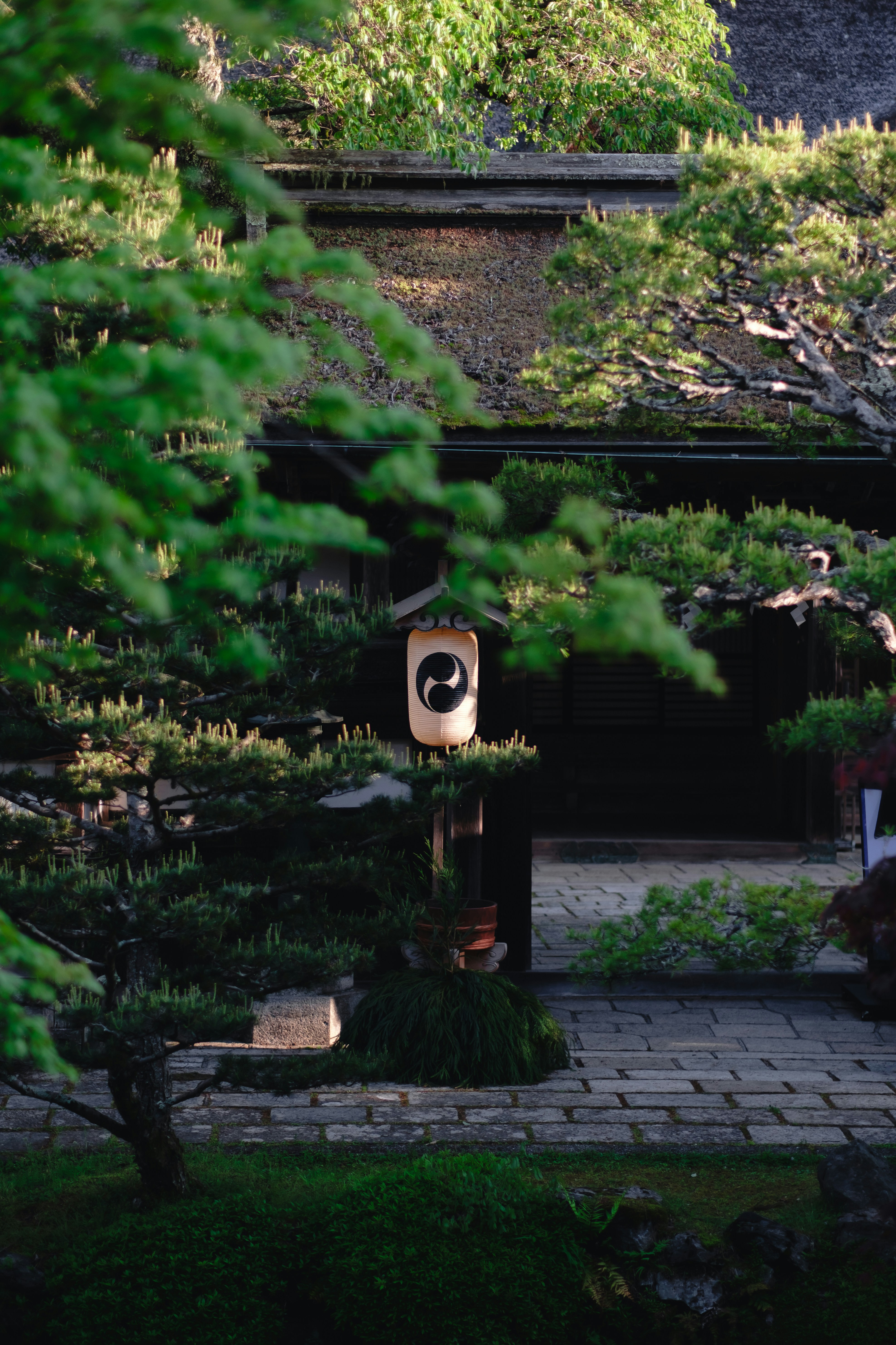 a clock in the middle of a garden surrounded by trees