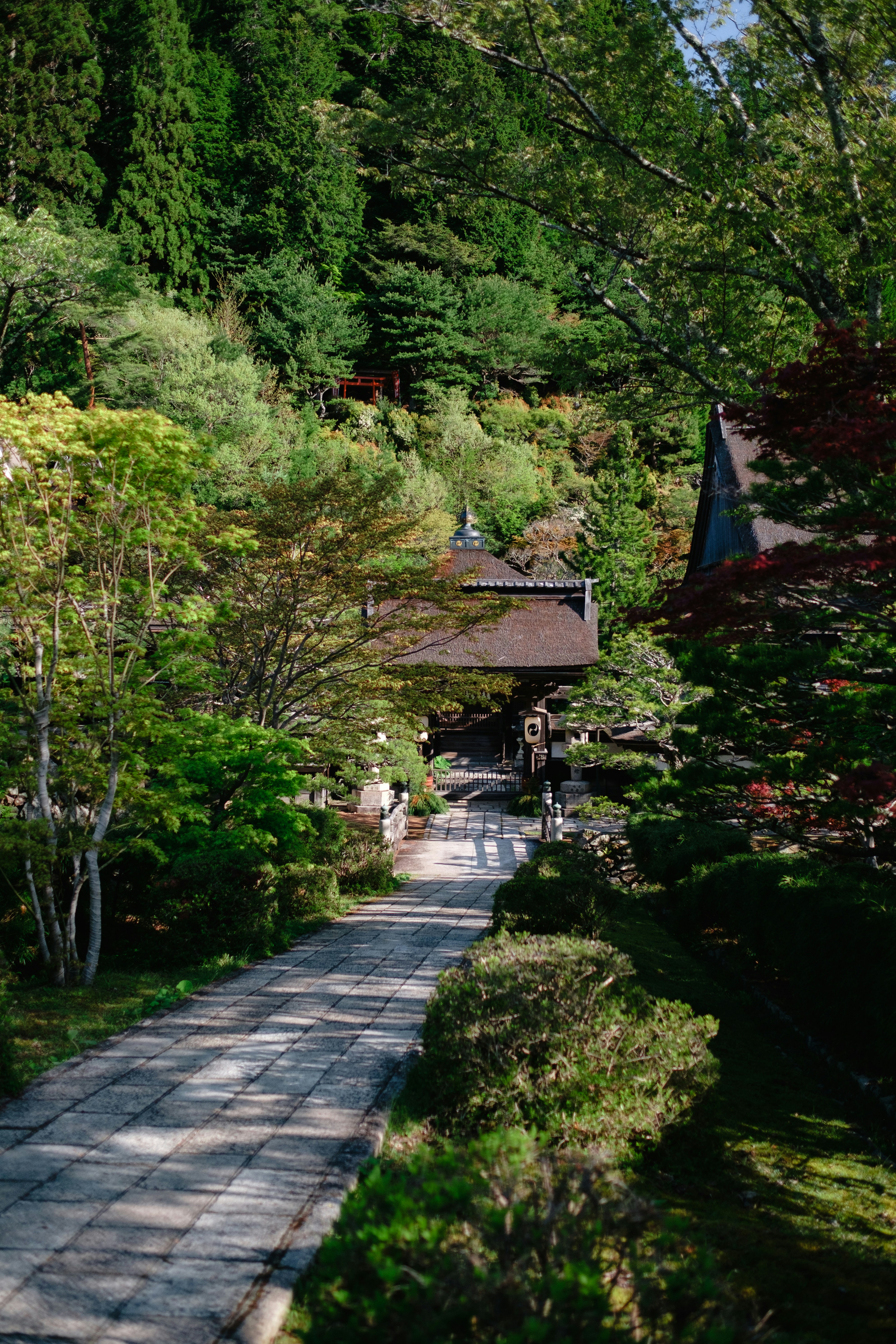 a path leading to a pavilion surrounded by trees