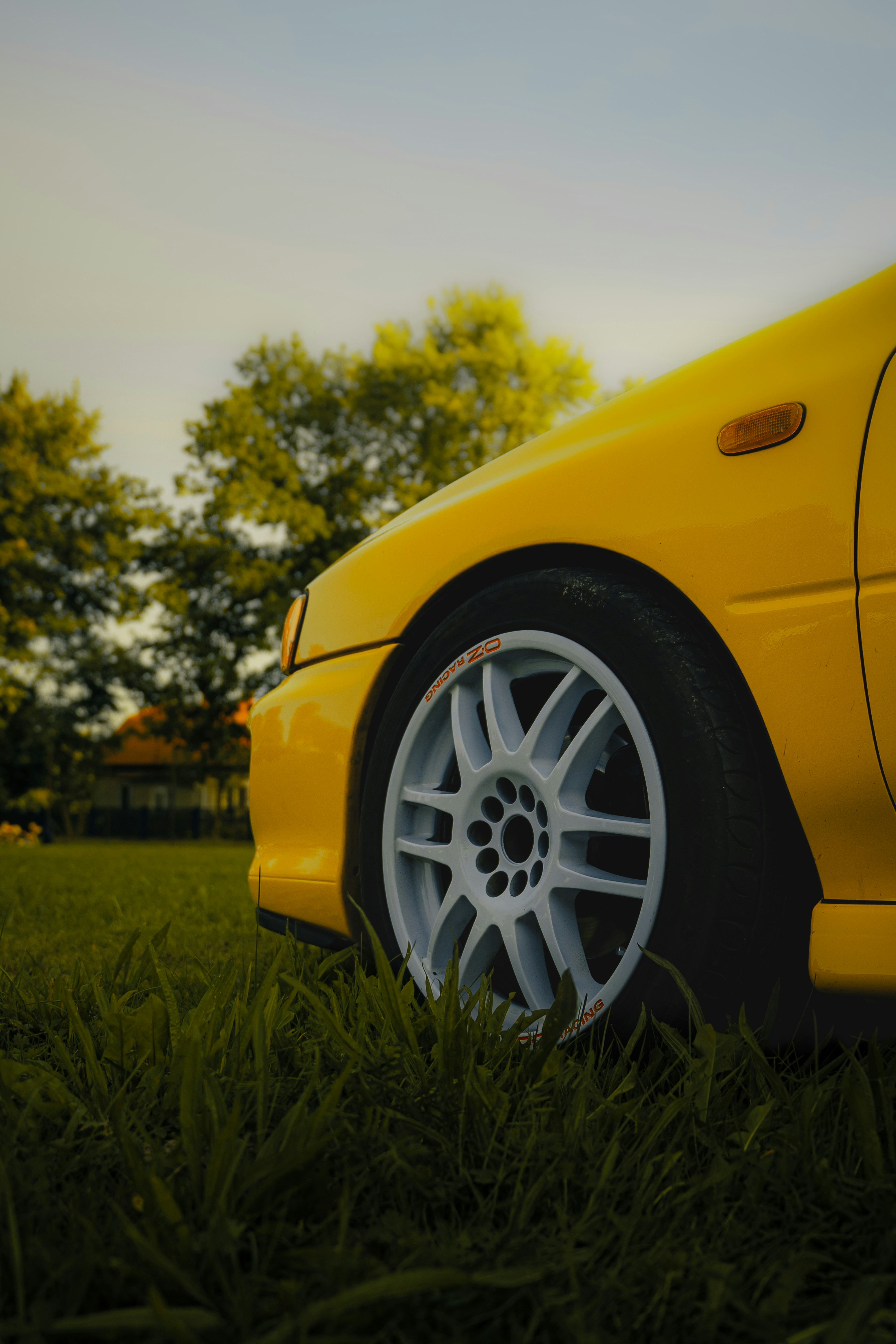 Photo by patryk_wojcieszak