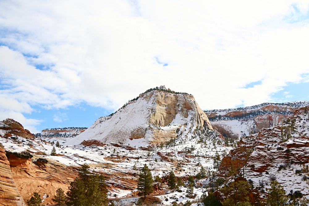 a snow covered mountain with trees in the foreground