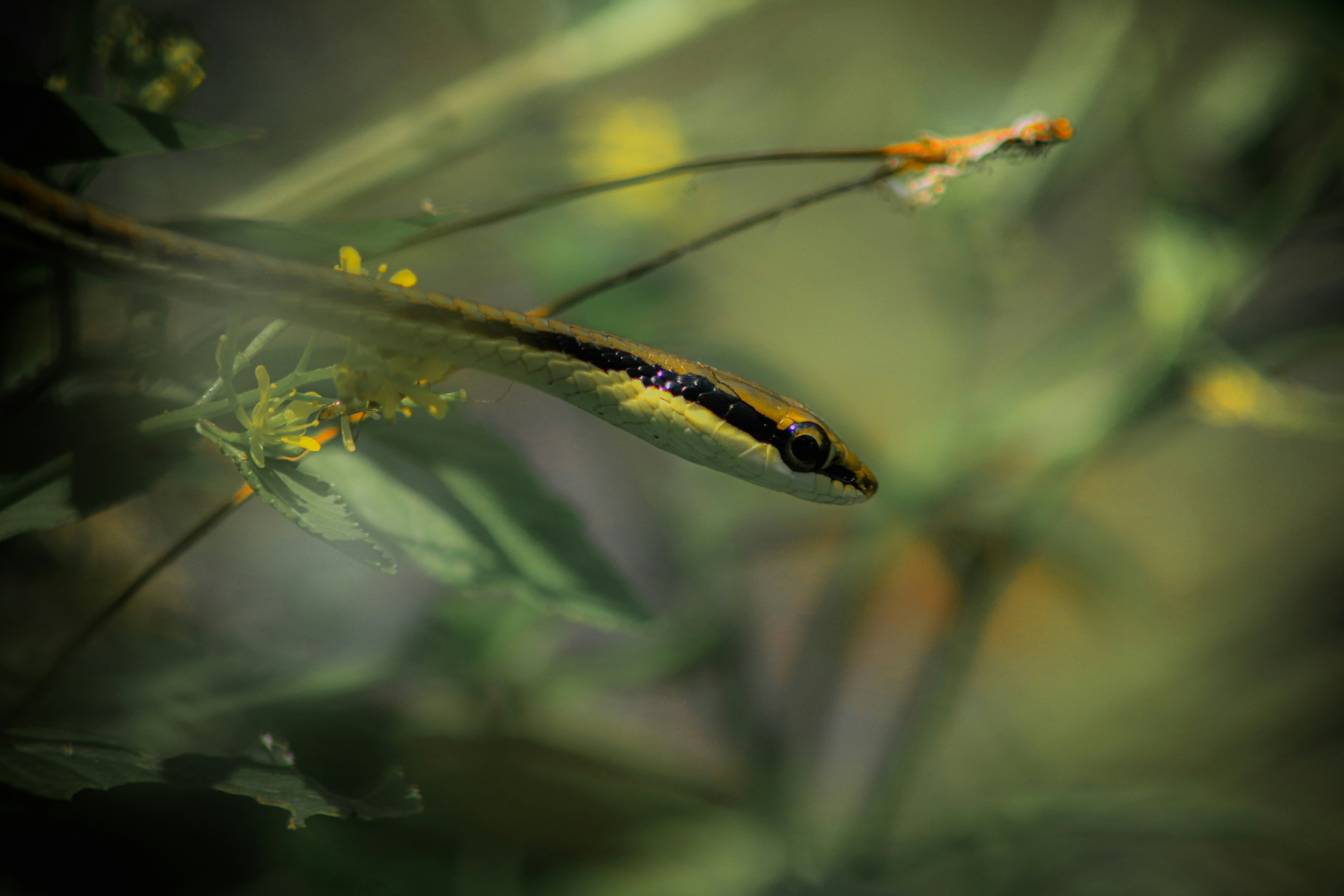 Photo by kemal03