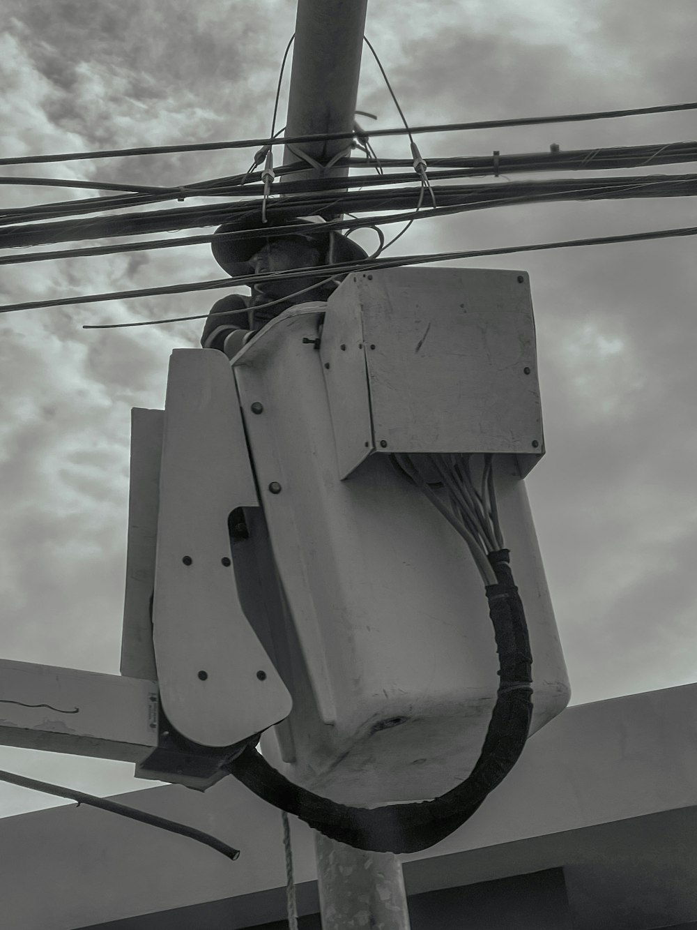 a black and white photo of a street light