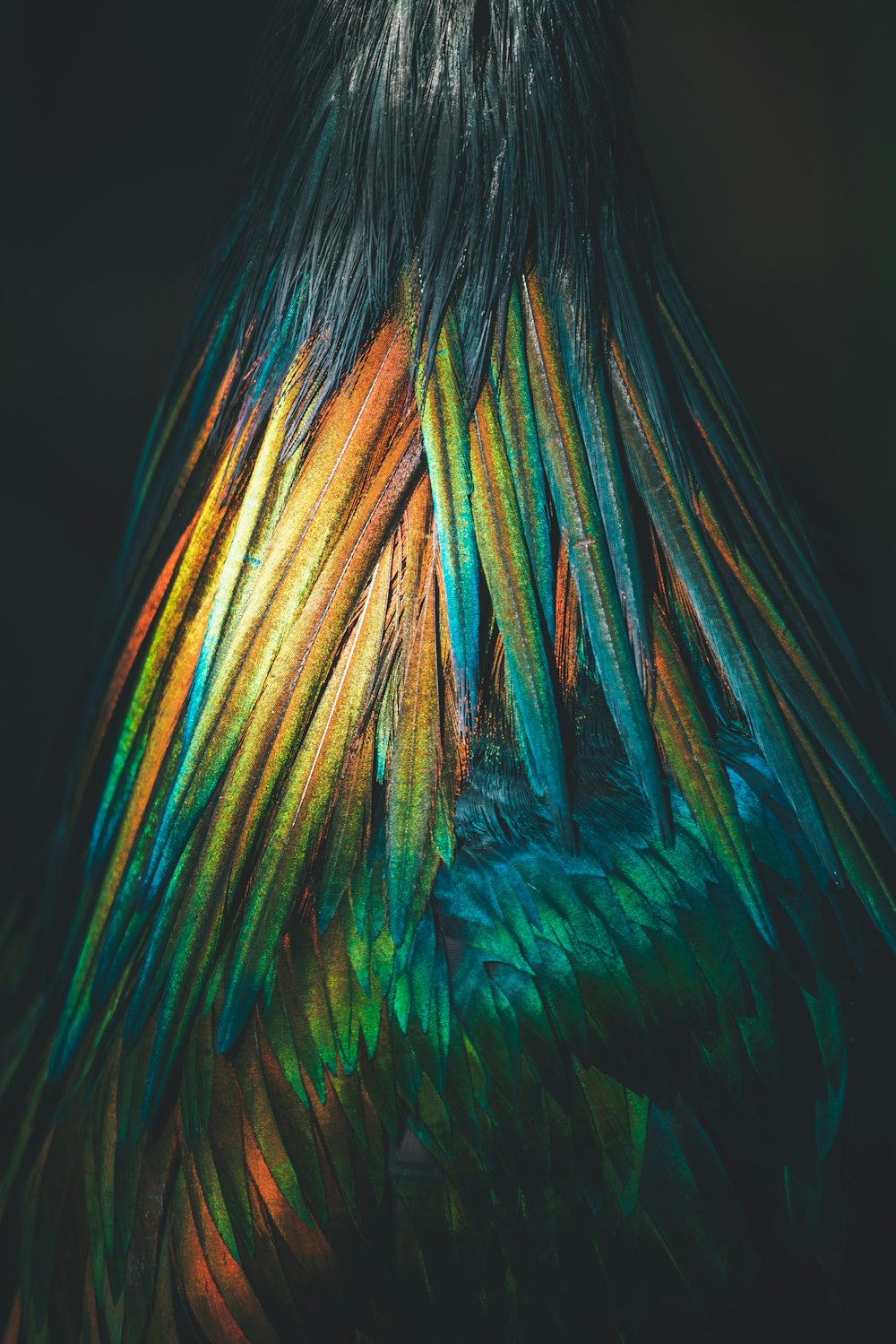 a close up of a colorful bird's feathers