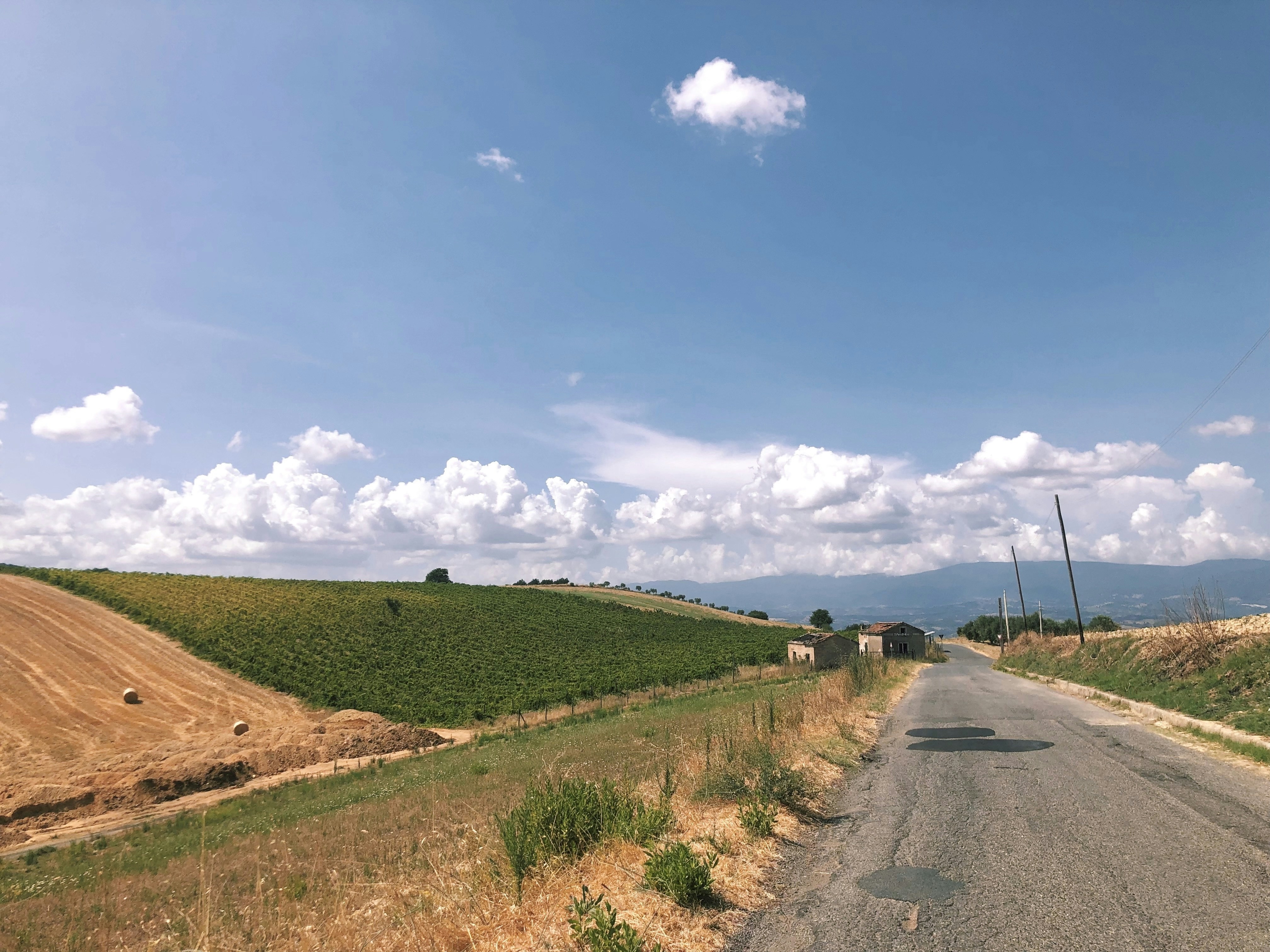 eine Landstraße mit einem Ackerfeld in der Ferne