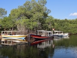 a group of boats floating on top of a lake