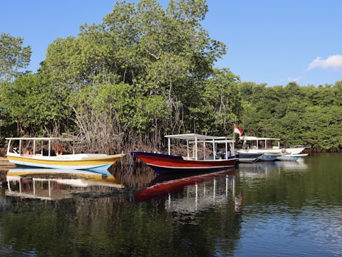 a group of boats floating on top of a lake