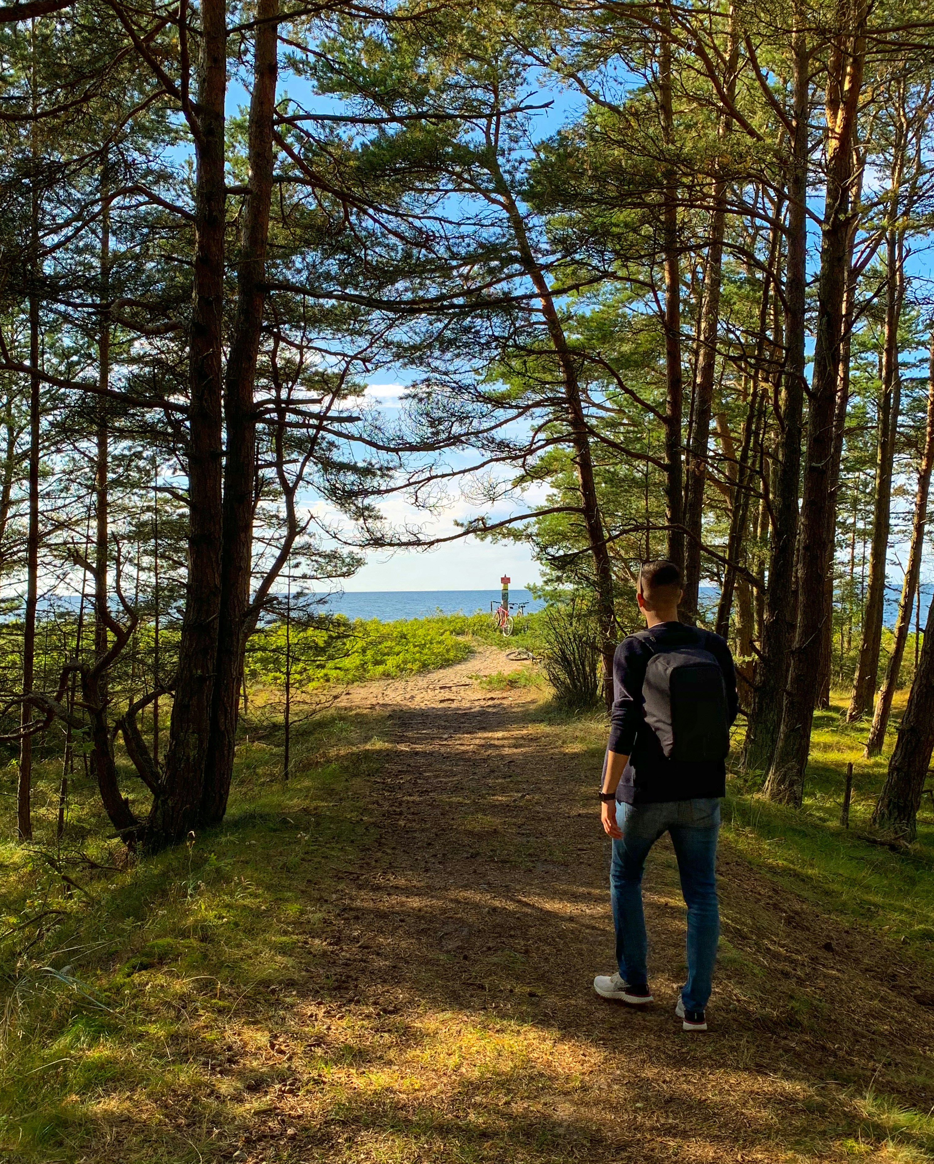 a man standing on a path in the woods