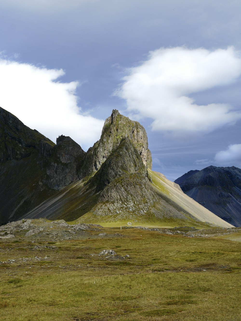 a grassy field with a mountain in the background