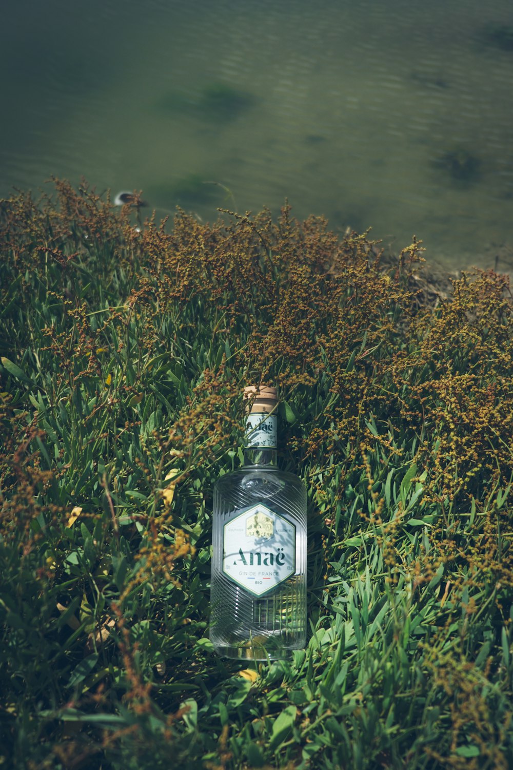 a bottle of alcohol sitting in the grass