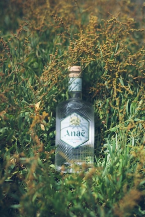 A bottle of gin is placed among tall green grass and small yellow wildflowers. The bottle has a wooden cork and a hexagonal label reading 'Anaë Gin de France BIO'. The glass is clear with a textured design, reflecting light.