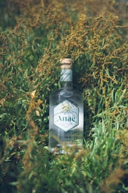 A bottle of gin is placed among tall green grass and small yellow wildflowers. The bottle has a wooden cork and a hexagonal label reading 'Anaë Gin de France BIO'. The glass is clear with a textured design, reflecting light.