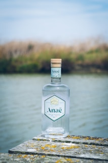 A bottle of Anaë gin is placed on a weathered wooden surface near a body of water, with natural scenery including blurred green vegetation and the sky in the background.