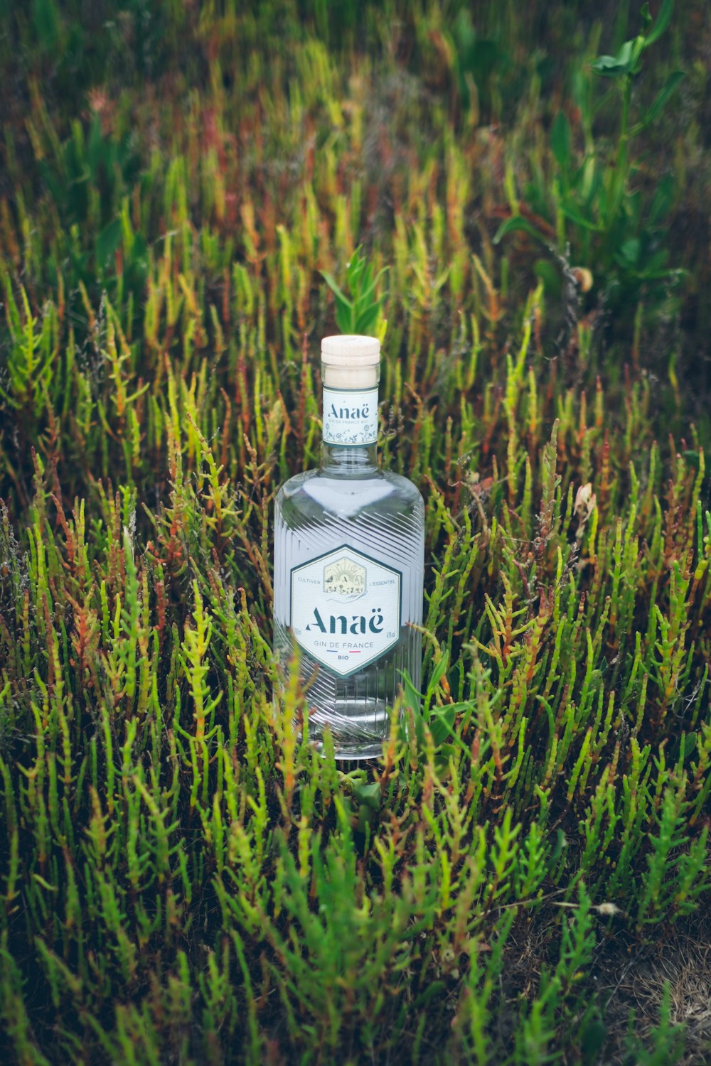 a bottle of alcohol sitting in the grass
