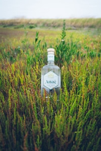 5L Bottle