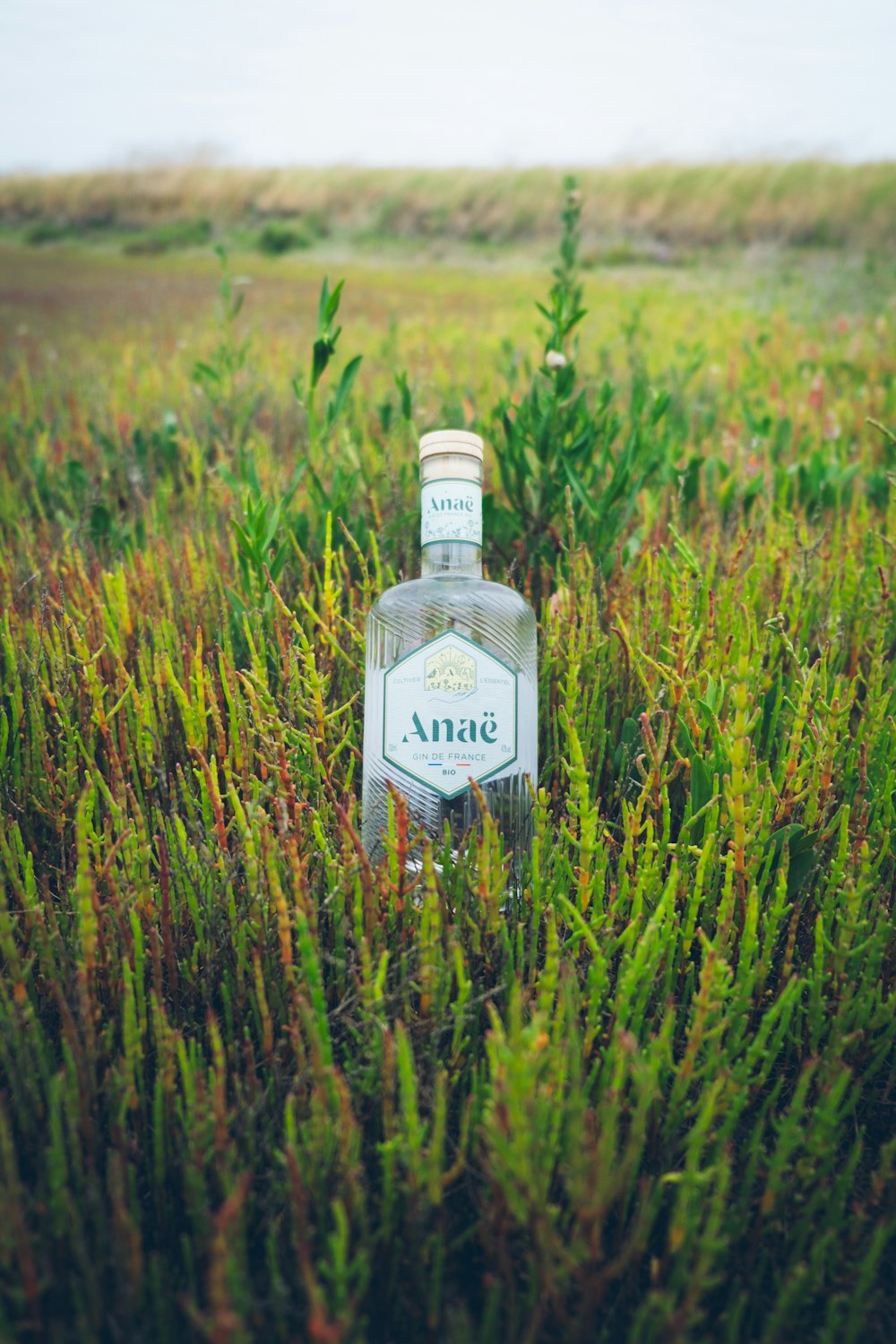 a bottle of alcohol sitting in the middle of a field