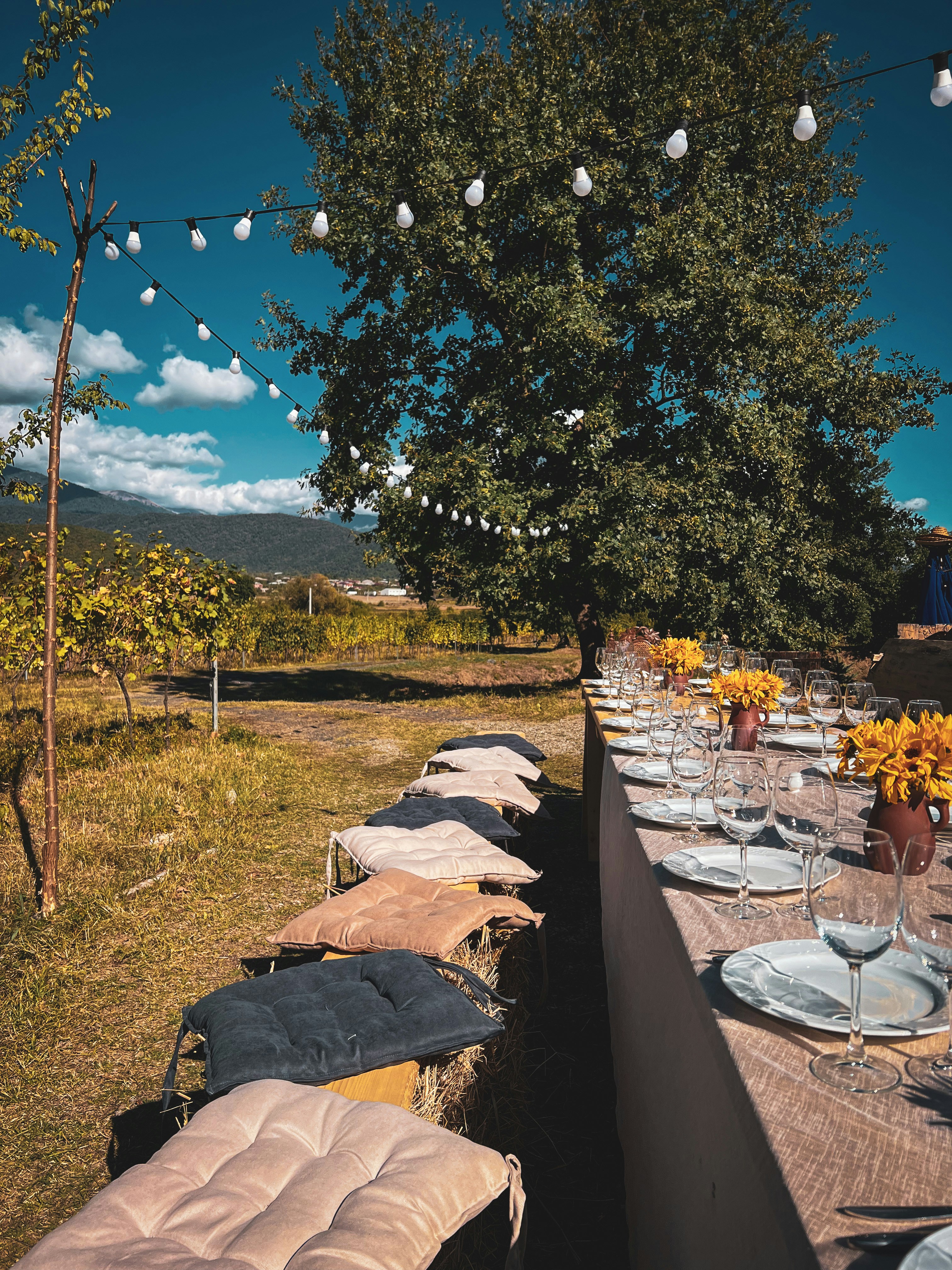 a long table with plates and glasses on it