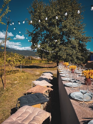 a long table with plates and glasses on it