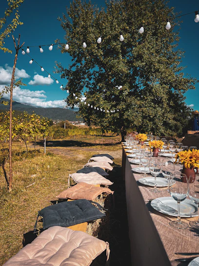 A long wooden table set outdoors with vibrant dishes and happy guests sharing a meal under string lights.