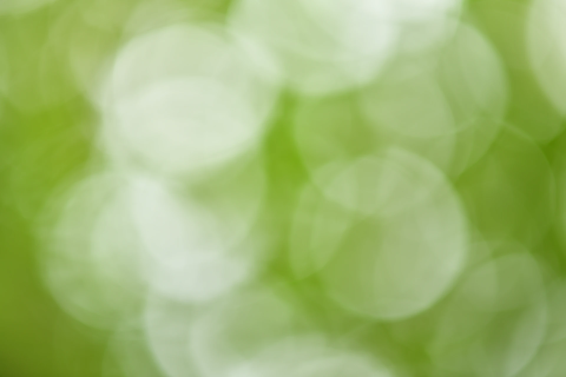 a blurry photo of a green and white background