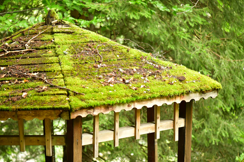 Moss covered roof in front of a forest