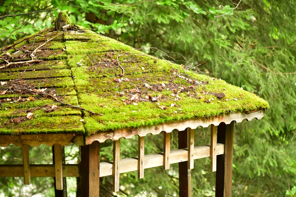 a moss covered roof in front of a forest
