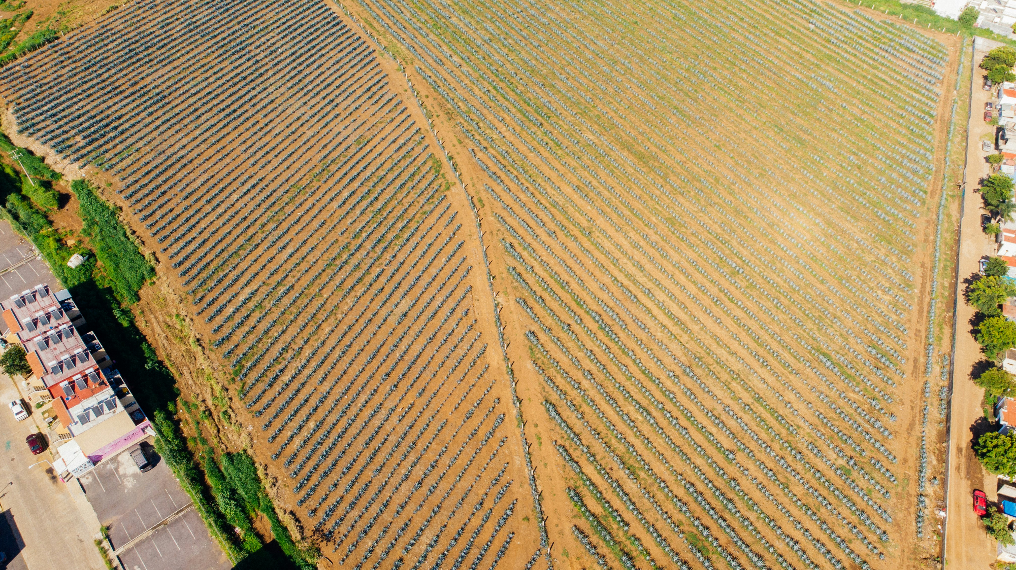 Photo by jonathecreator