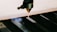 A laser cutting machine is in the process of cutting through a sheet of material. The laser emits a bright light as it precisely cuts along the edge. The machine's nozzle is positioned closely to the material, demonstrating a high level of precision.