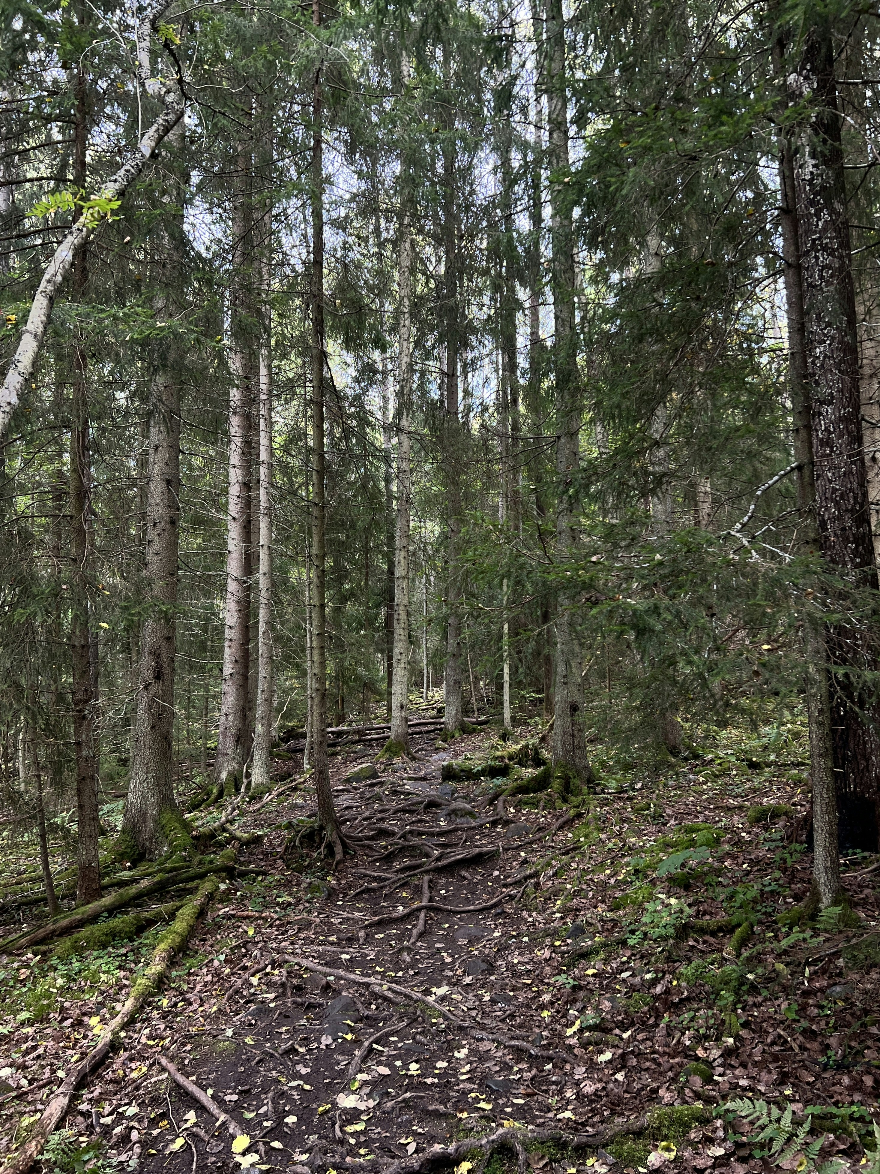 Photo by naturius175