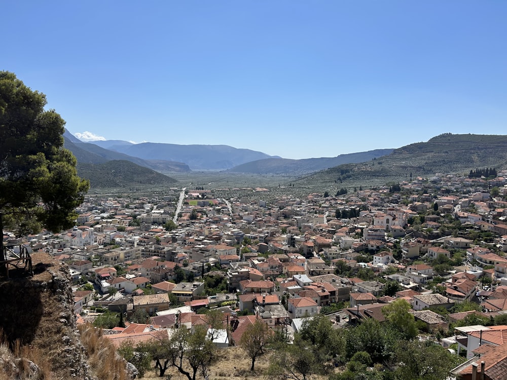 a view of a city with mountains in the background